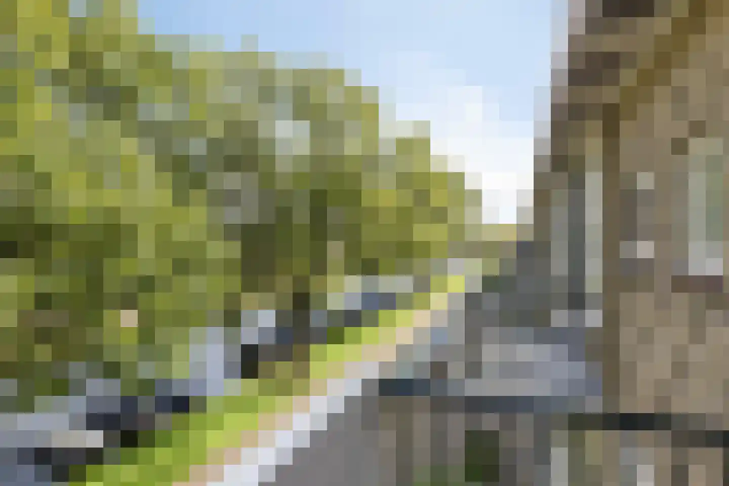 Zwettekade 2 Sneek thumbnail 25