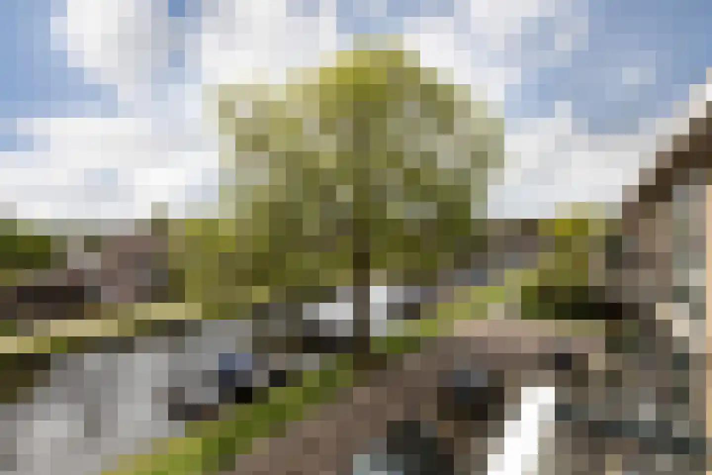Zwettekade 9 Sneek thumbnail 10