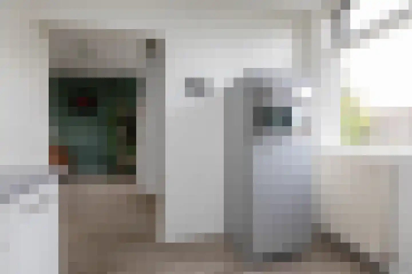 Zwettekade 9 Sneek thumbnail 13