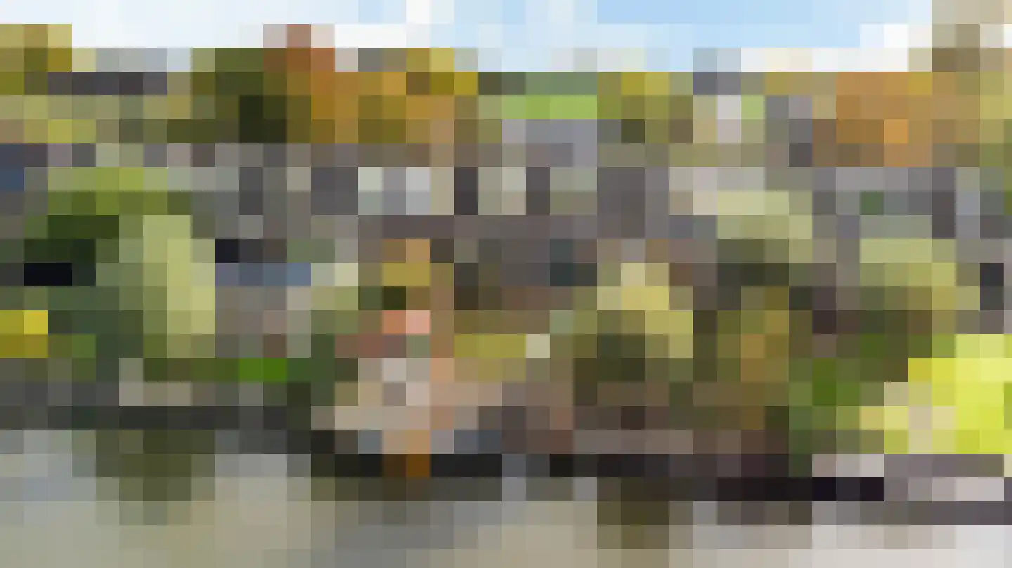 Zwettewei 80 Scharnegoutum