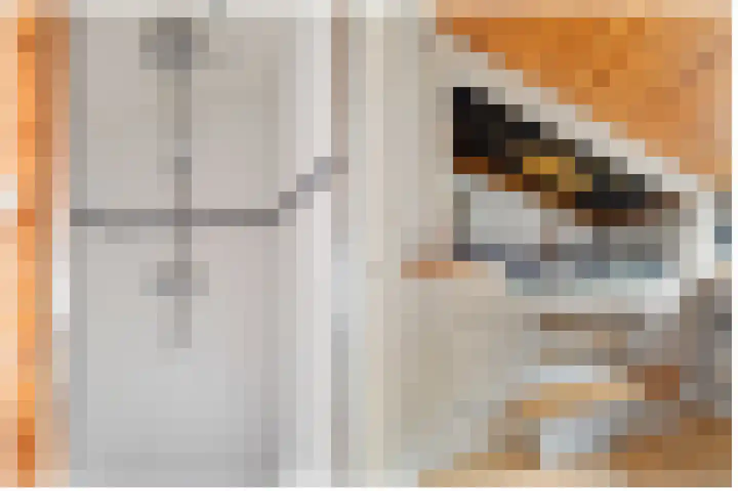 Zwettewei 80 Scharnegoutum thumbnail 15