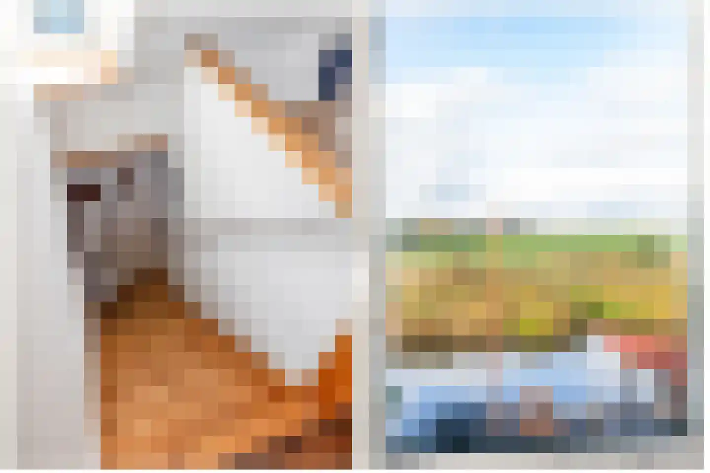 Zwettewei 80 Scharnegoutum thumbnail 24