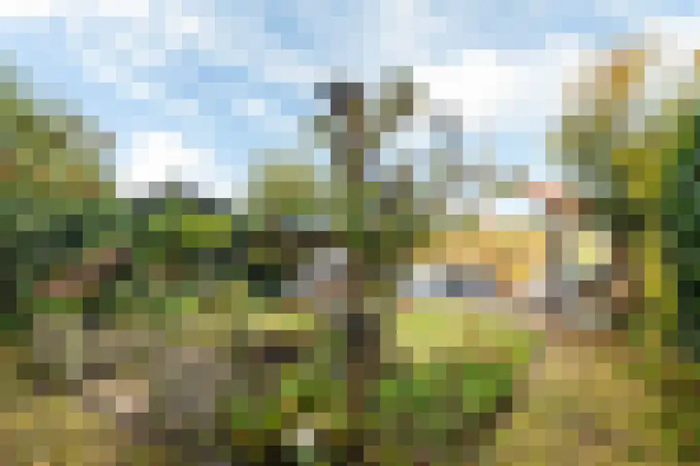 Zwettewei 80 Scharnegoutum thumbnail 36