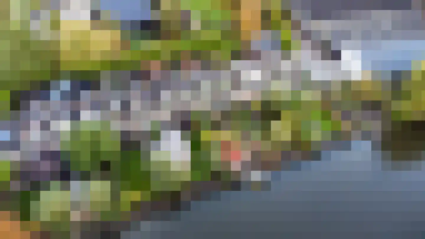 Zwettewei 80 Scharnegoutum thumbnail 39