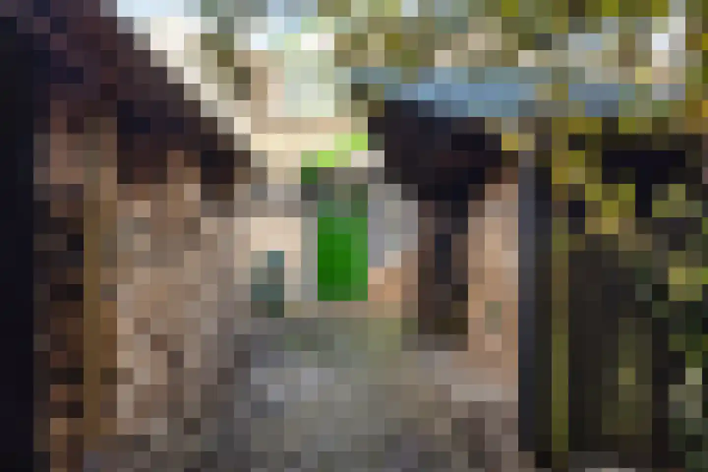 Zwettewei 80 Scharnegoutum thumbnail 4