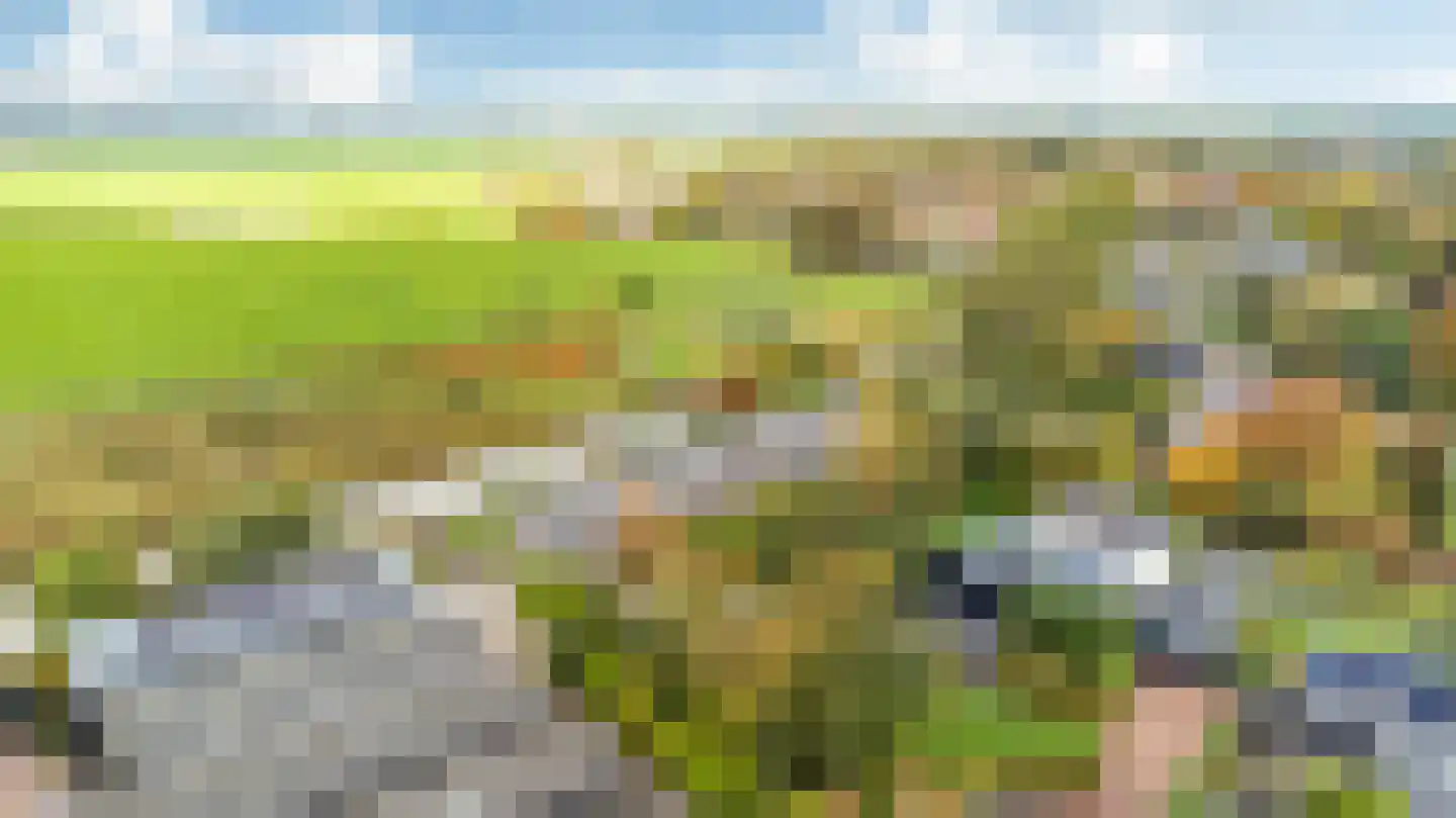 Zwettewei 80 Scharnegoutum thumbnail 40