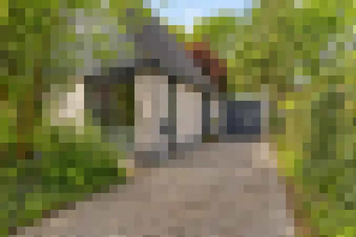 Zwichtstelling 4 Harkstede thumbnail 11