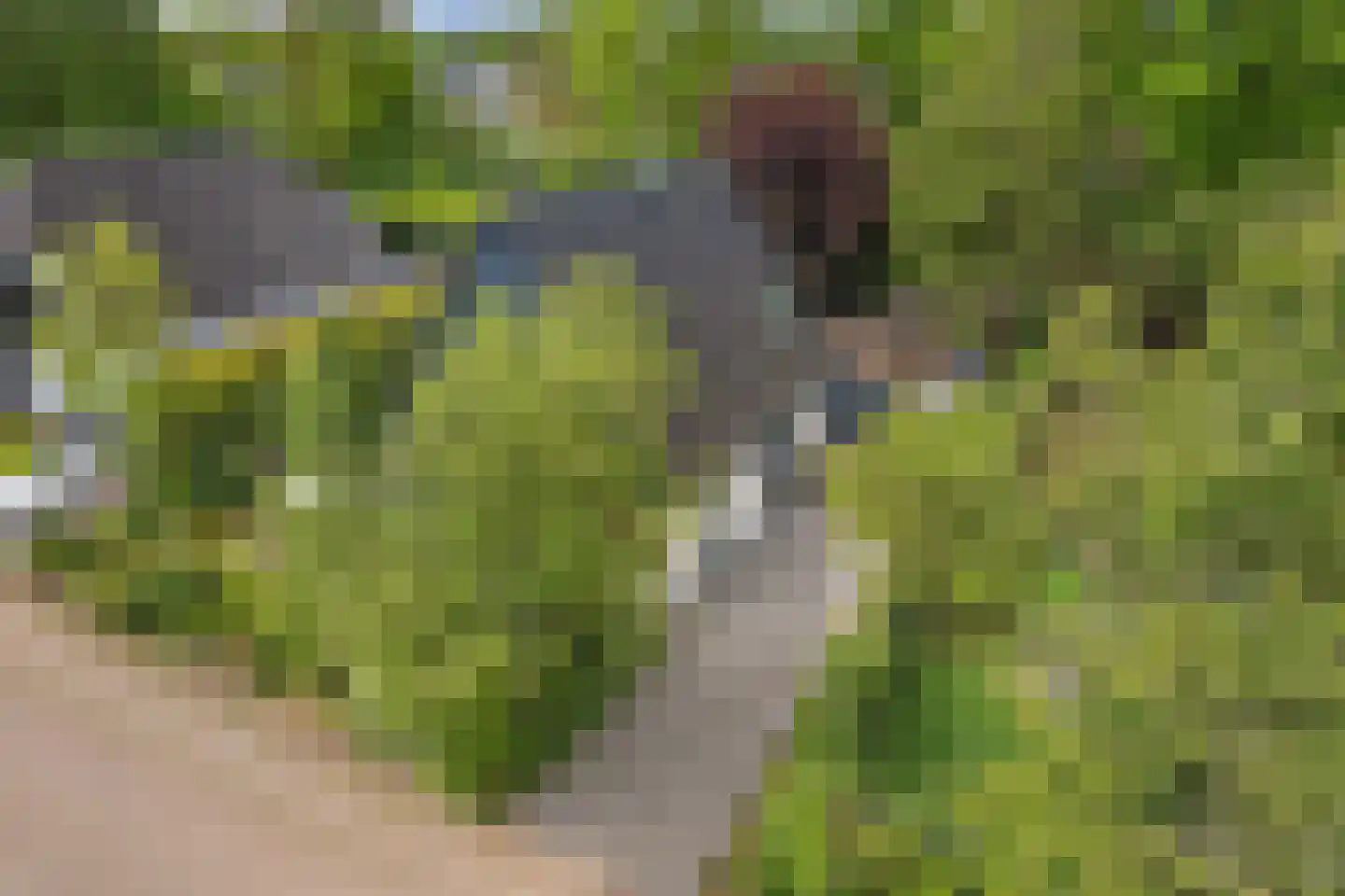 Zwichtstelling 4 Harkstede thumbnail 12