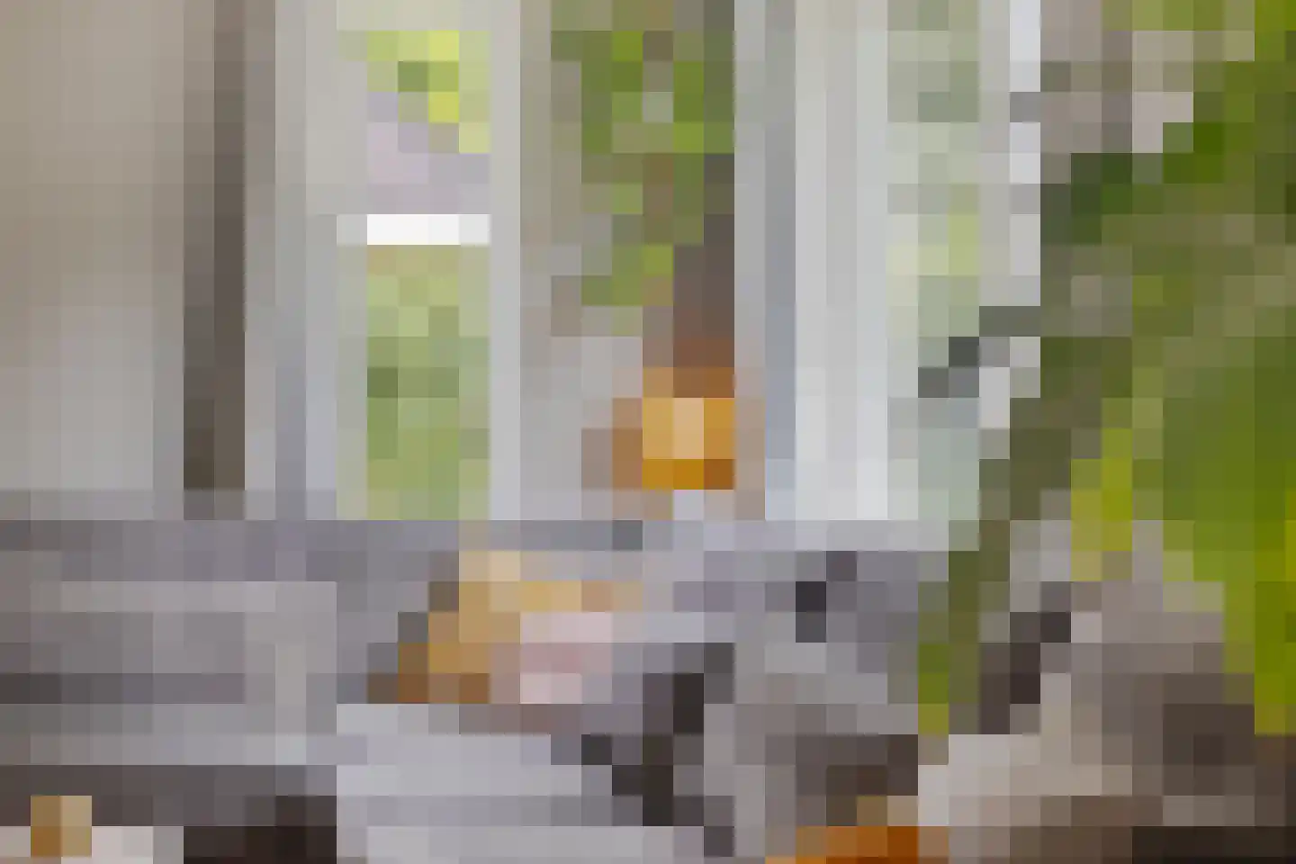 Zwichtstelling 4 Harkstede thumbnail 18