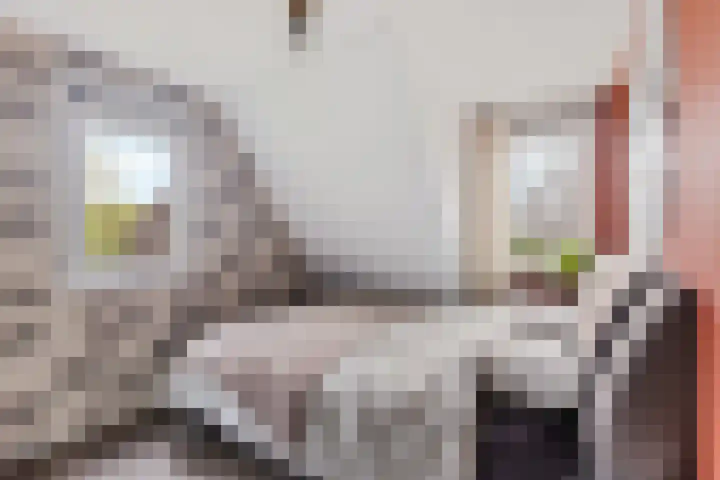 Zwichtstelling 4 Harkstede thumbnail 30