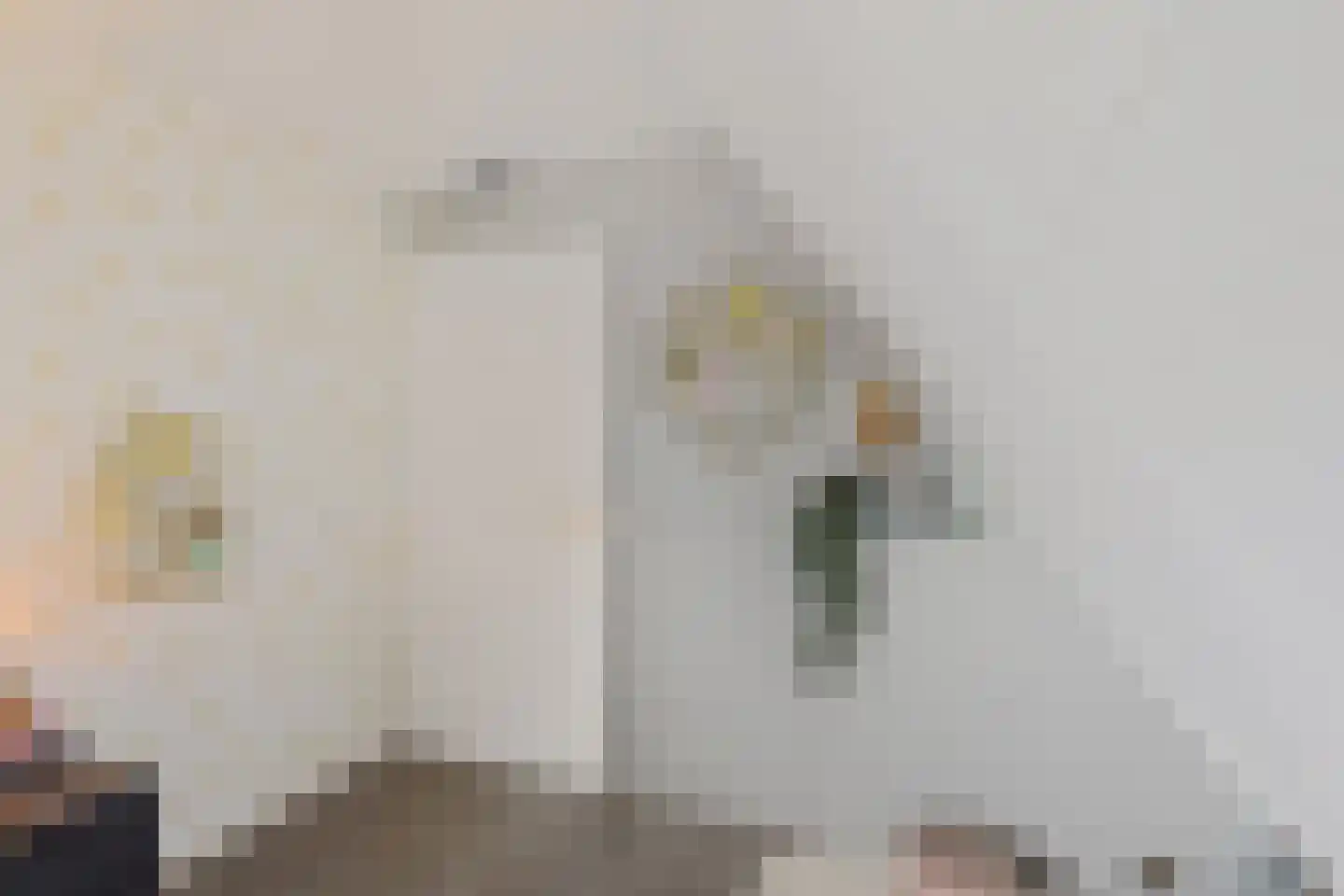 Zwichtstelling 4 Harkstede thumbnail 33