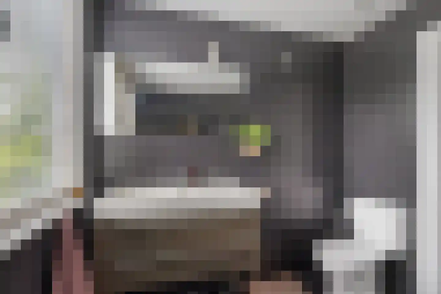 Zwichtstelling 4 Harkstede thumbnail 39