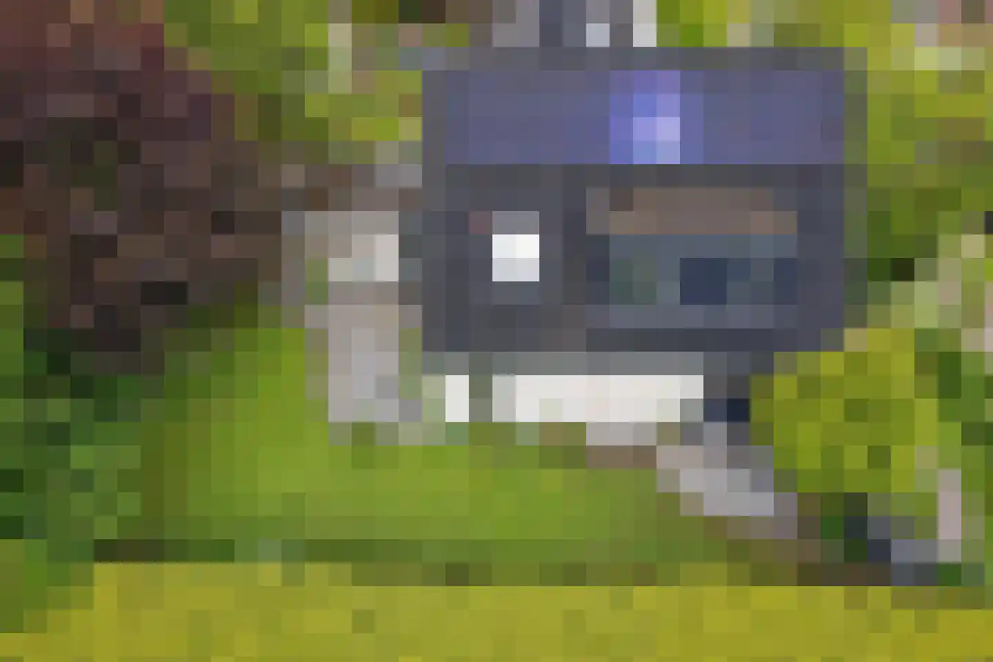 Zwichtstelling 4 Harkstede thumbnail 4