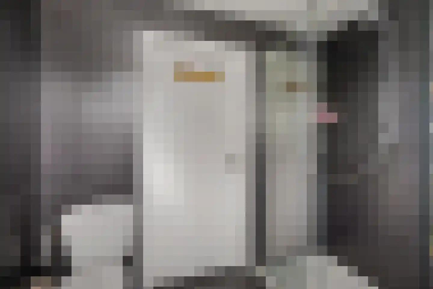 Zwichtstelling 4 Harkstede thumbnail 40