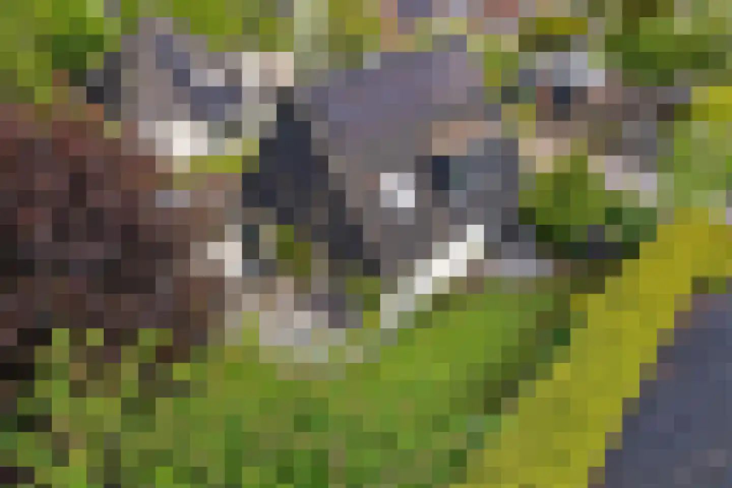Zwichtstelling 4 Harkstede thumbnail 42