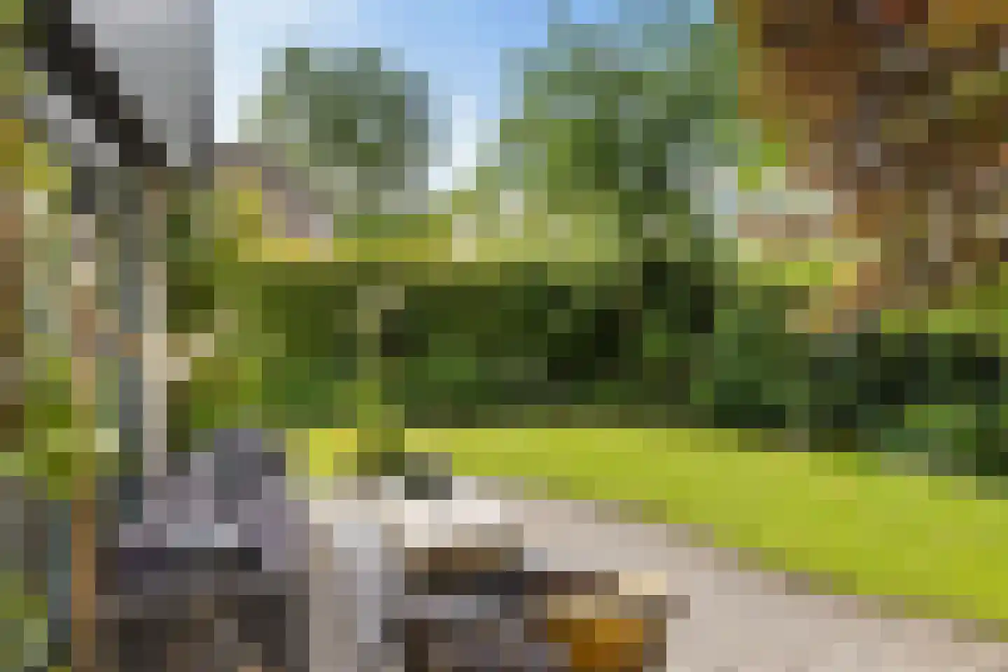 Zwichtstelling 4 Harkstede thumbnail 43