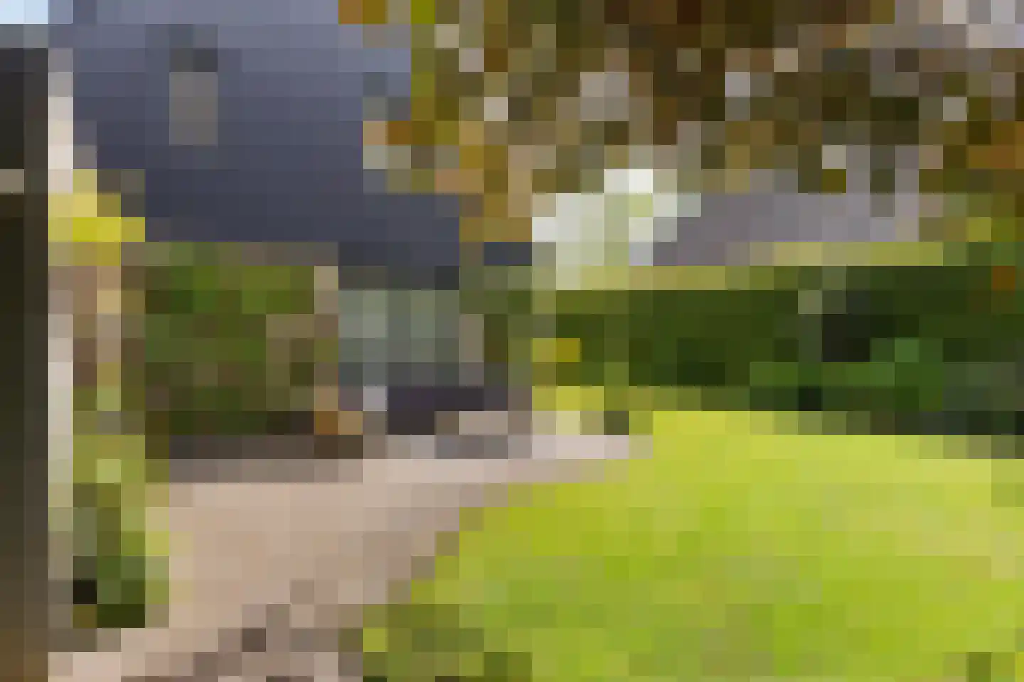 Zwichtstelling 4 Harkstede thumbnail 44