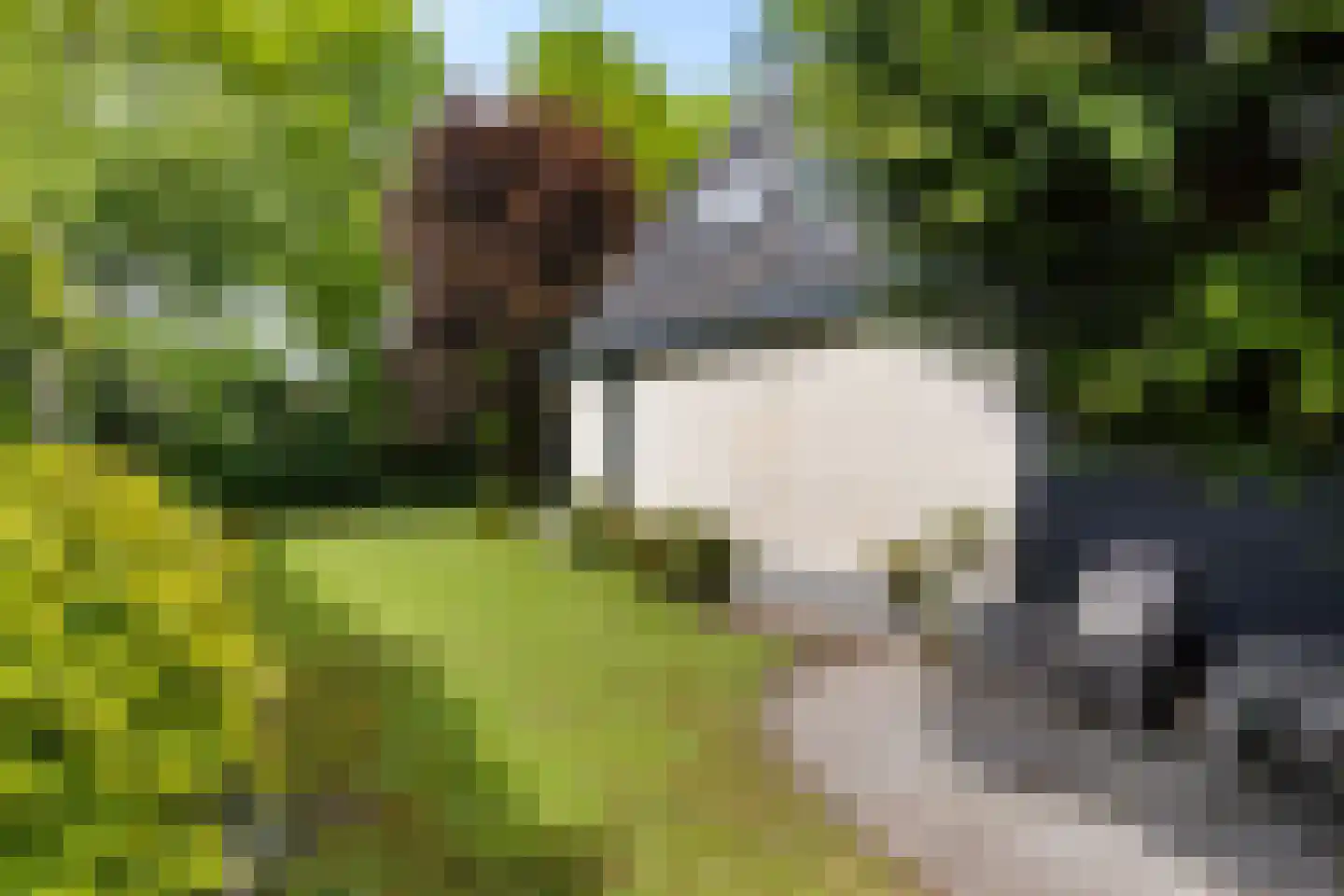 Zwichtstelling 4 Harkstede thumbnail 45