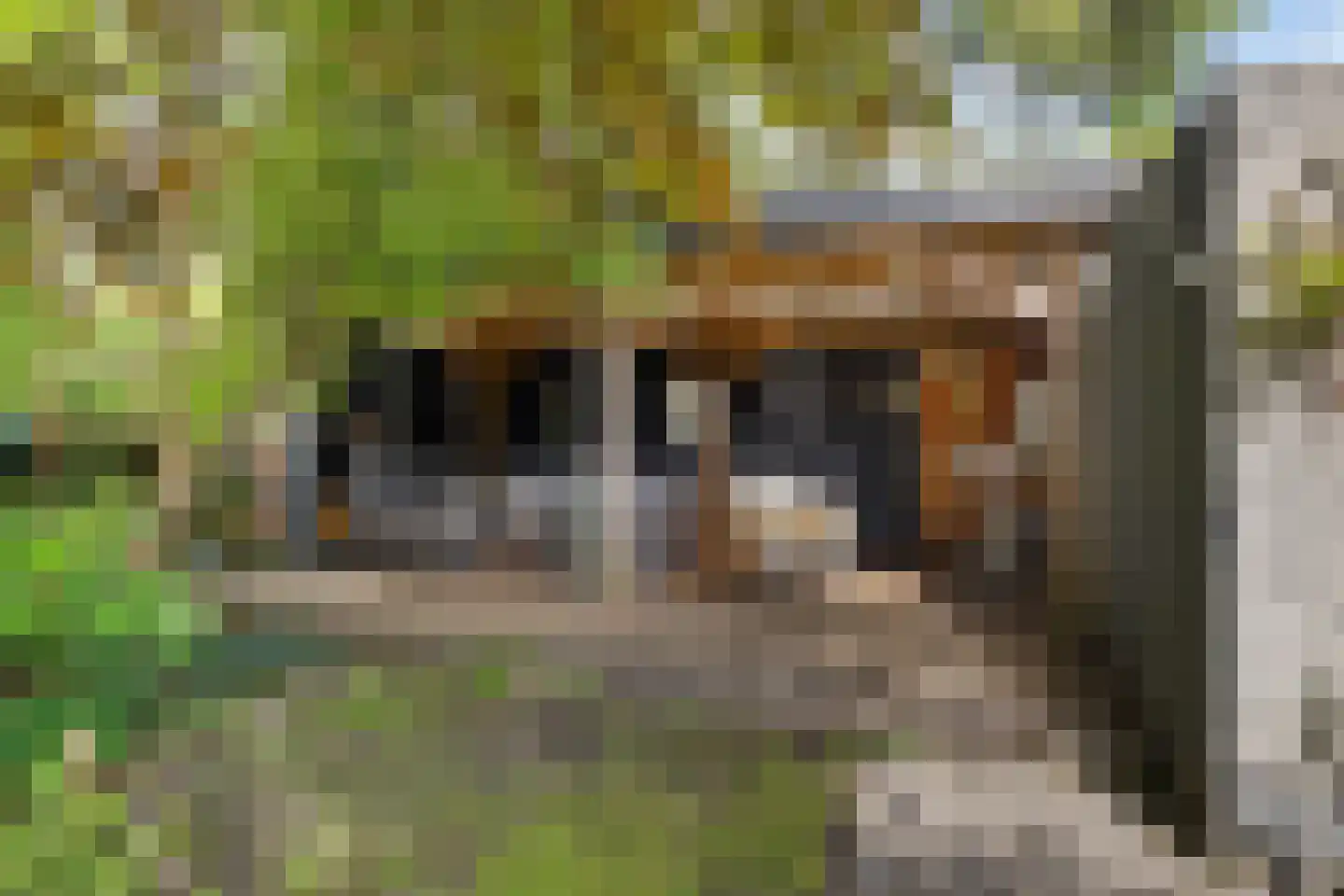 Zwichtstelling 4 Harkstede thumbnail 47