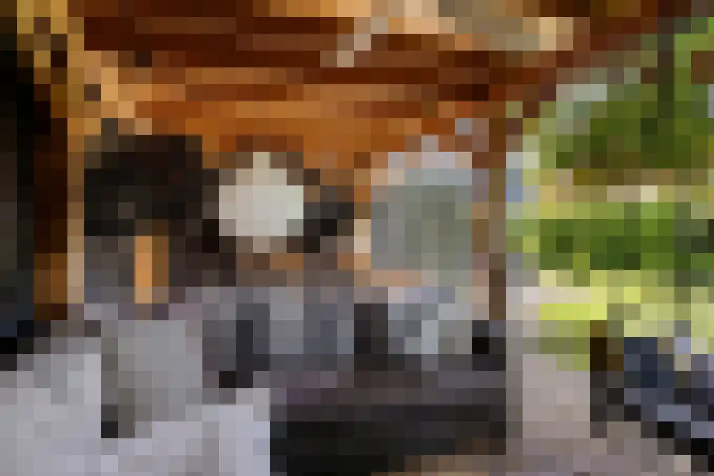 Zwichtstelling 4 Harkstede thumbnail 48