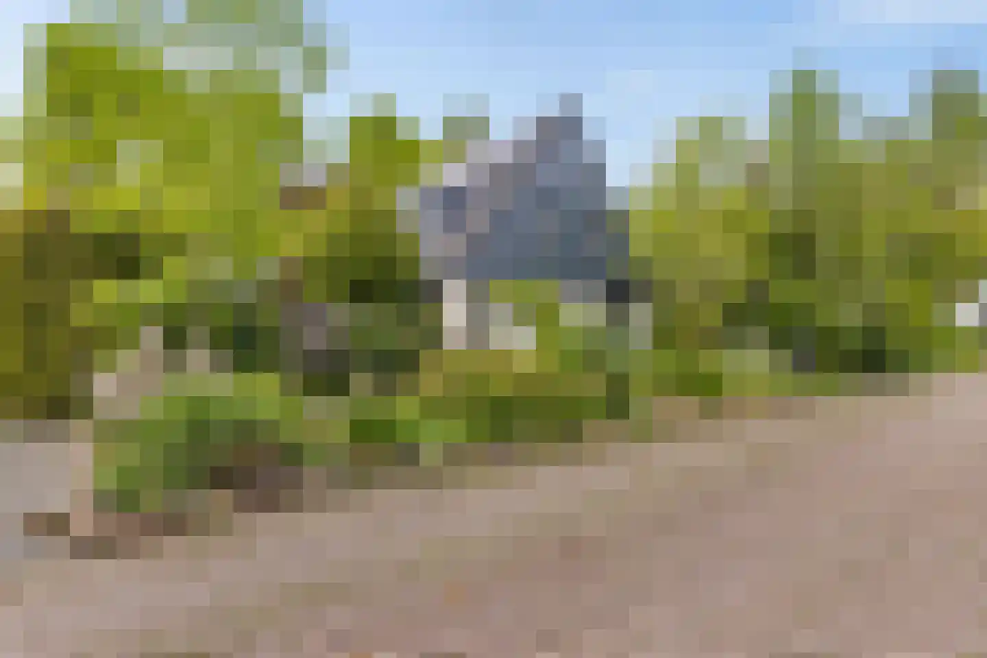 Zwichtstelling 4 Harkstede thumbnail 5