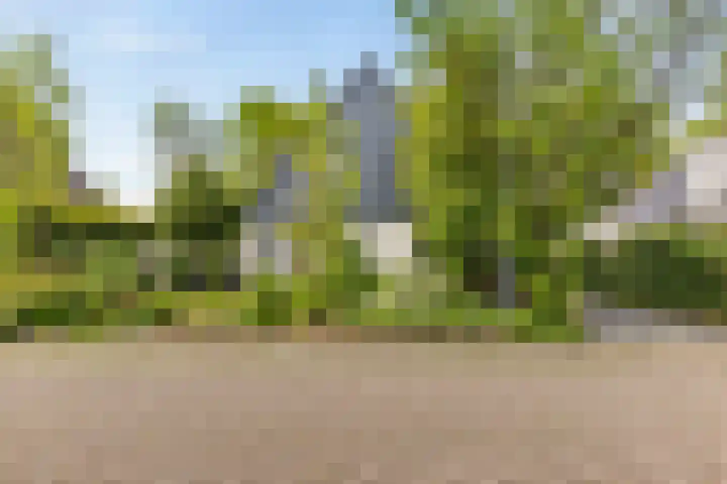 Zwichtstelling 4 Harkstede thumbnail 7
