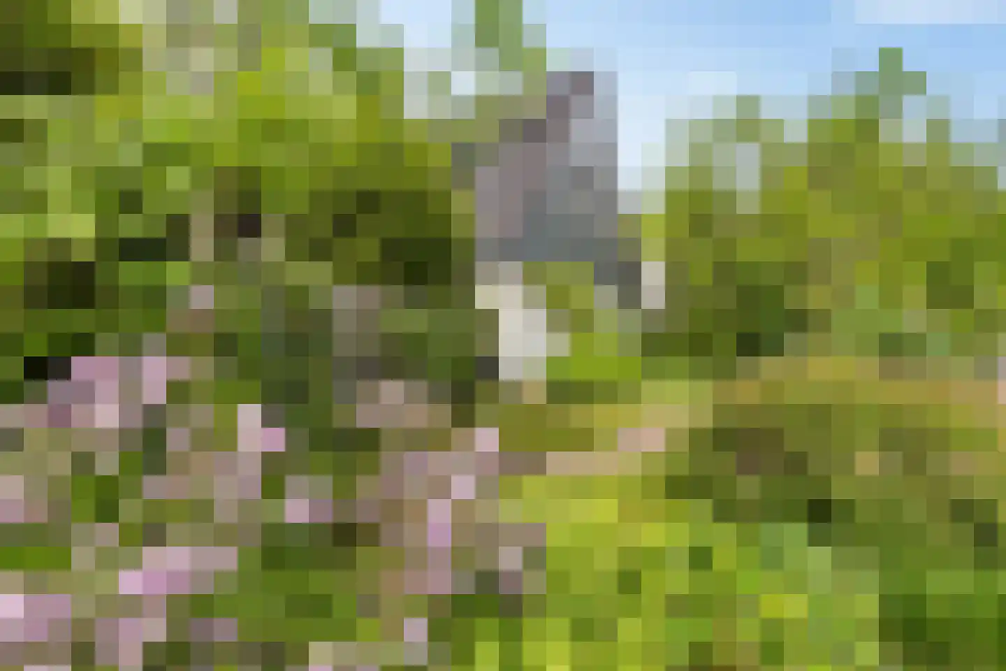 Zwichtstelling 4 Harkstede thumbnail 9