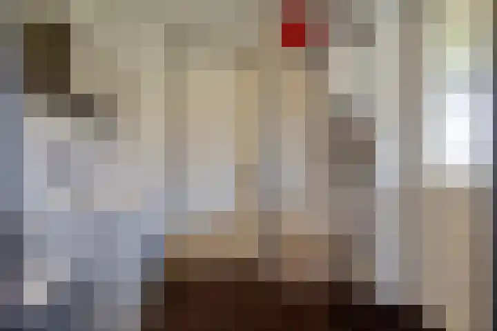 Zwichtstraat 10 Klazienaveen thumbnail 11