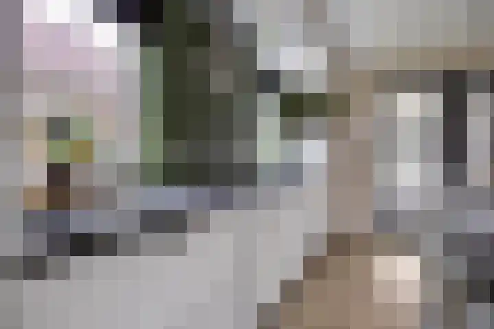 Zwichtstraat 7 Klazienaveen thumbnail 10