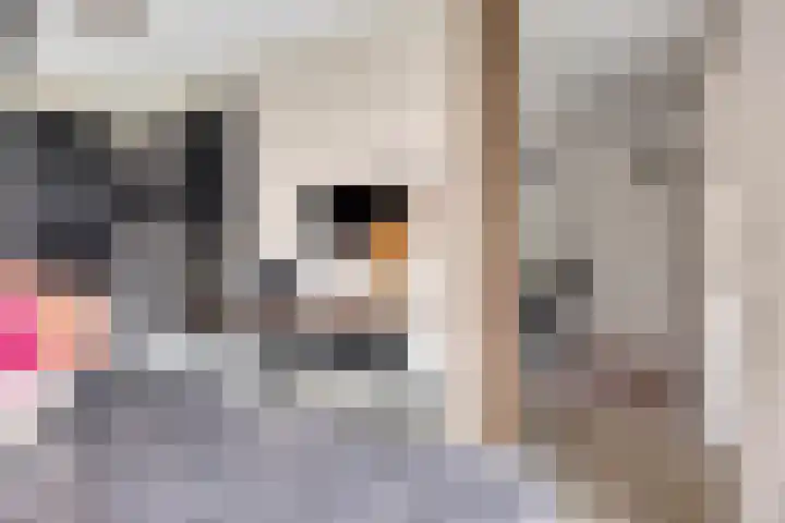 Zwichtstraat 7 Klazienaveen thumbnail 11