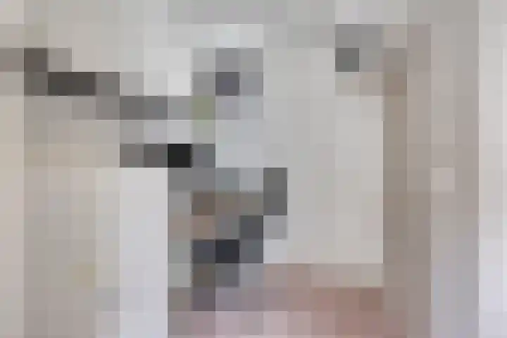 Zwichtstraat 7 Klazienaveen thumbnail 12