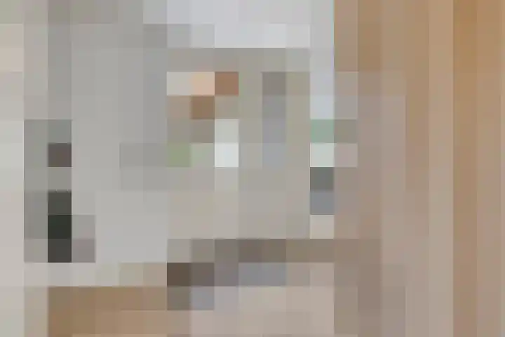 Zwichtstraat 7 Klazienaveen thumbnail 13
