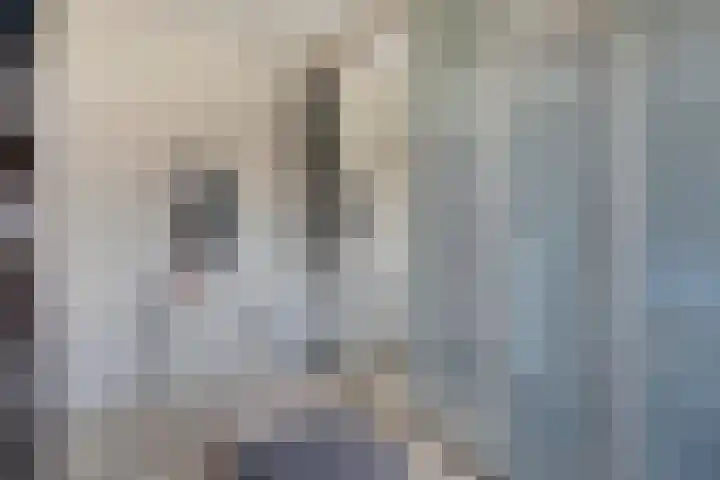 Zwichtstraat 7 Klazienaveen thumbnail 18