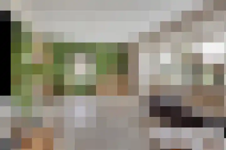 Zwichtstraat 7 Klazienaveen thumbnail 4