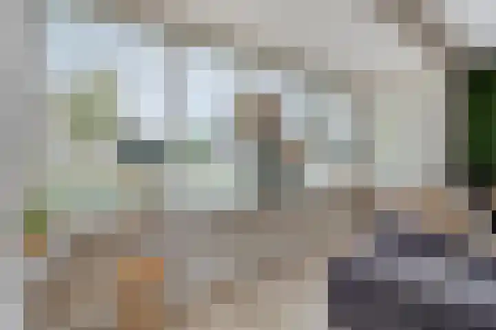 Zwichtstraat 7 Klazienaveen thumbnail 5