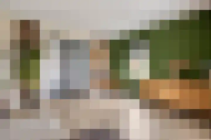 Zwichtstraat 7 Klazienaveen thumbnail 6