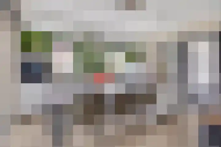 Zwichtstraat 7 Klazienaveen thumbnail 8