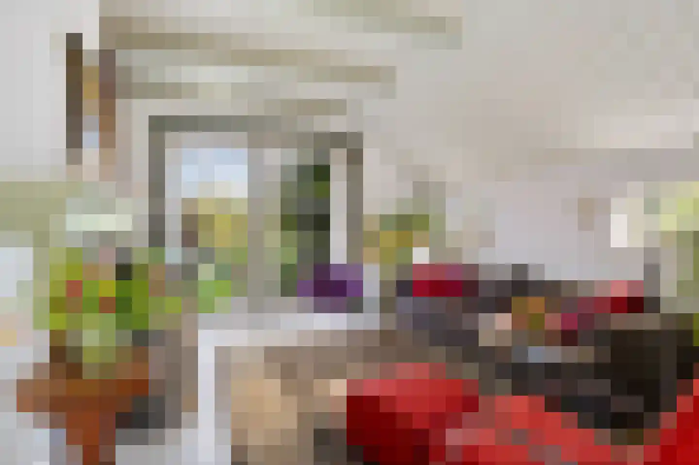 Zwienhemsdijk 4 a Eexterzandvoort thumbnail 13