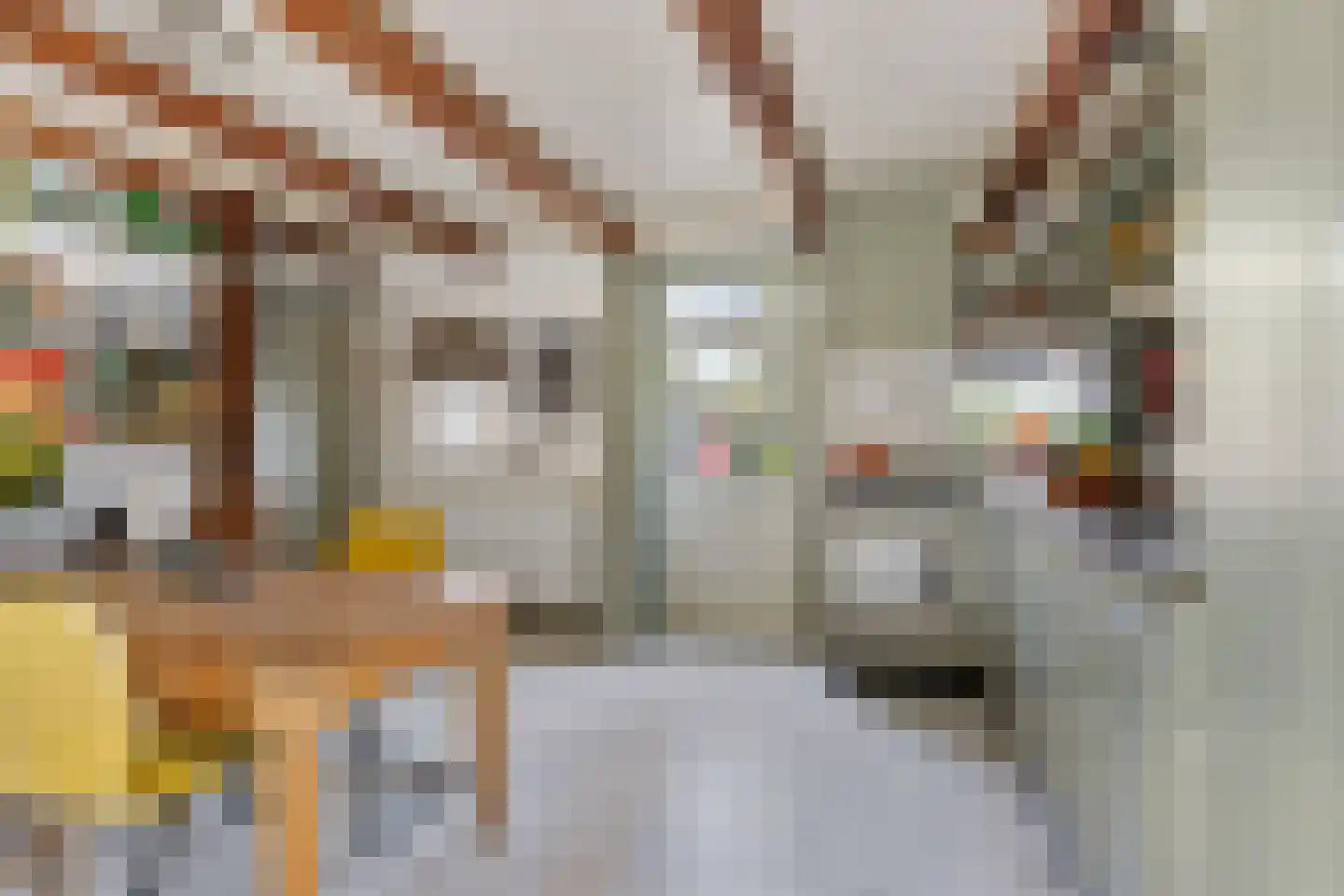 Zwienhemsdijk 4 a Eexterzandvoort thumbnail 18