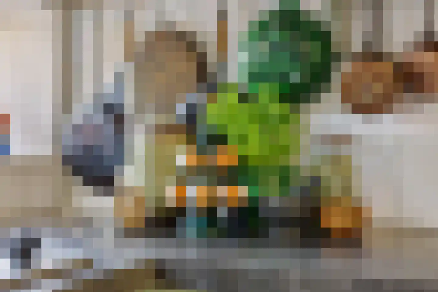 Zwienhemsdijk 4 a Eexterzandvoort thumbnail 20