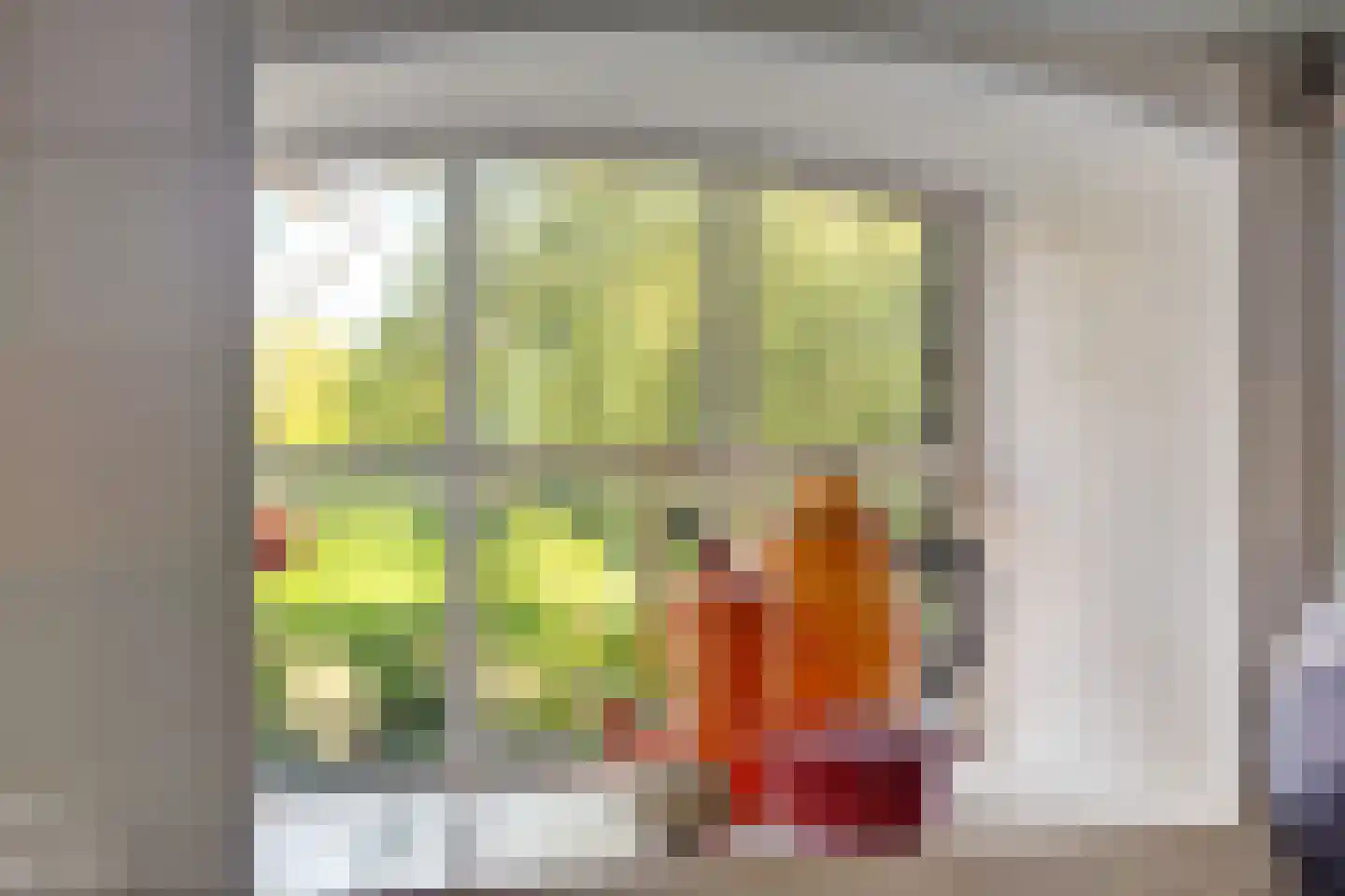 Zwienhemsdijk 4 a Eexterzandvoort thumbnail 21