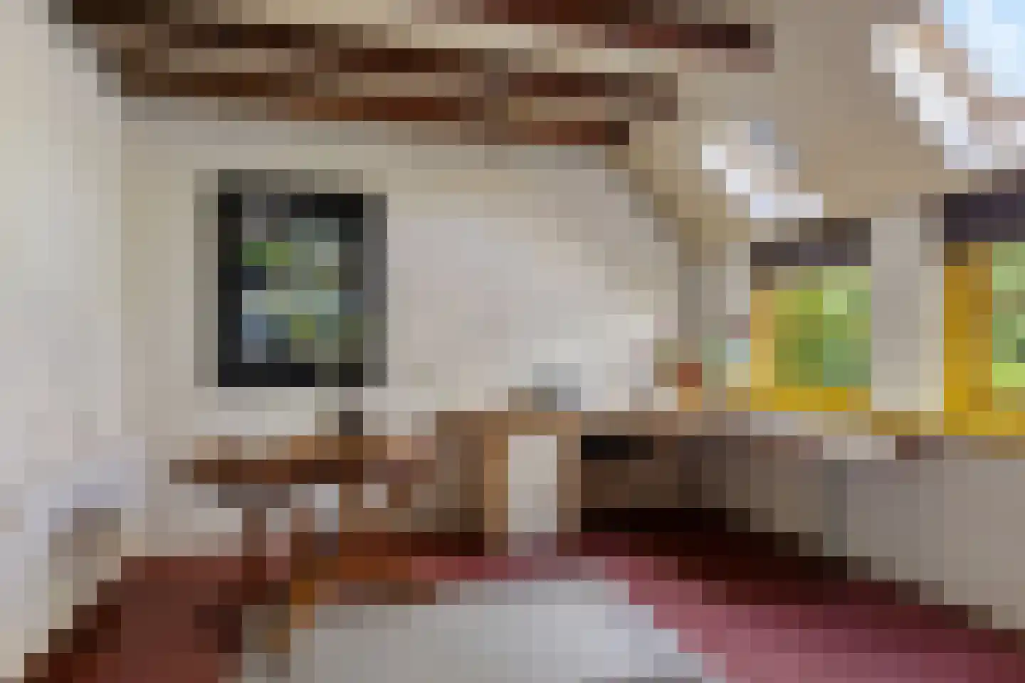 Zwienhemsdijk 4 a Eexterzandvoort thumbnail 25
