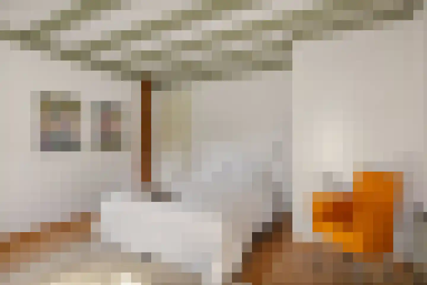 Zwienhemsdijk 4 a Eexterzandvoort thumbnail 27