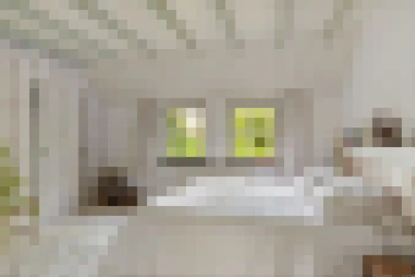 Zwienhemsdijk 4 a Eexterzandvoort thumbnail 32