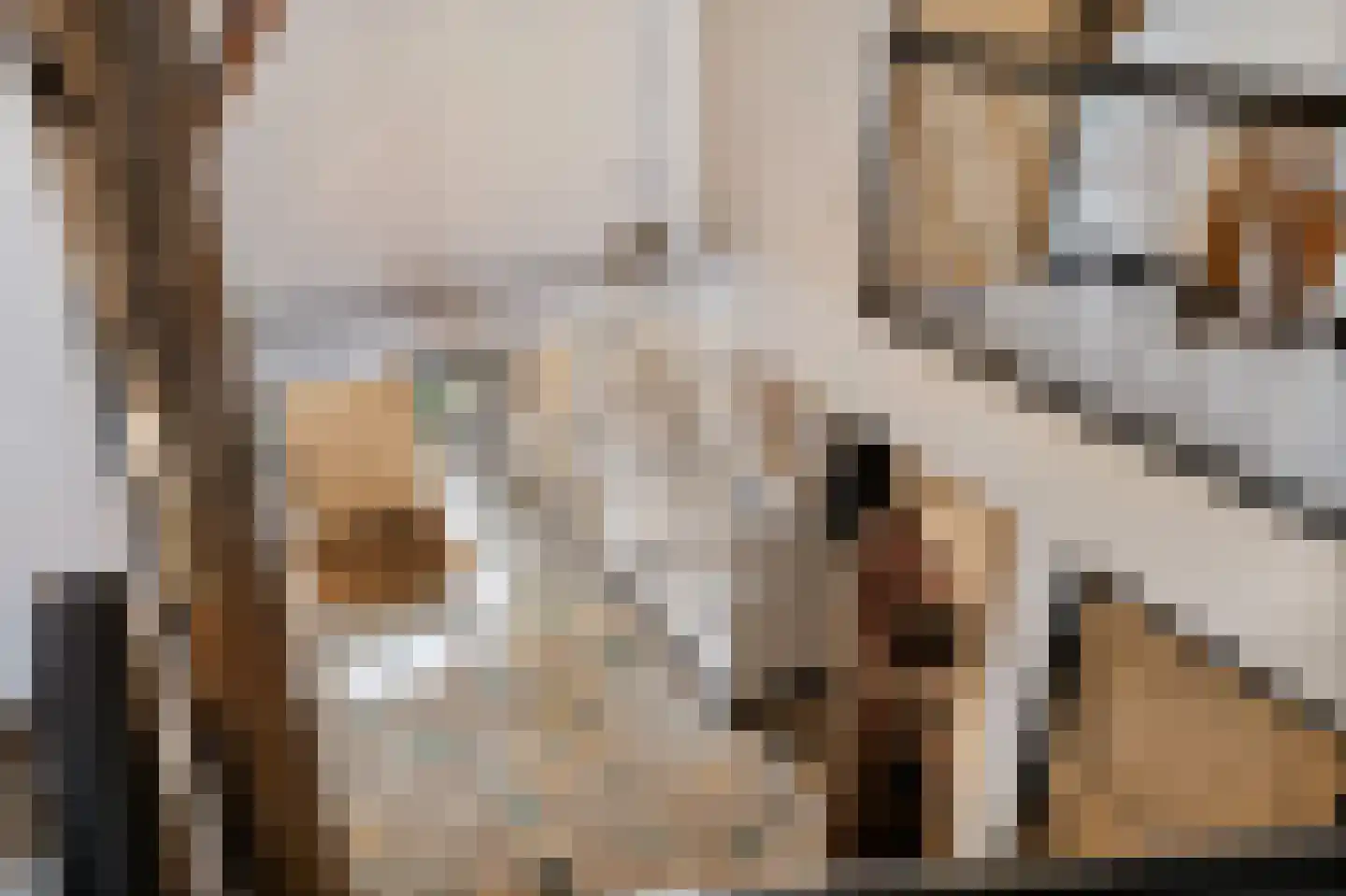 Zwienhemsdijk 4 a Eexterzandvoort thumbnail 34