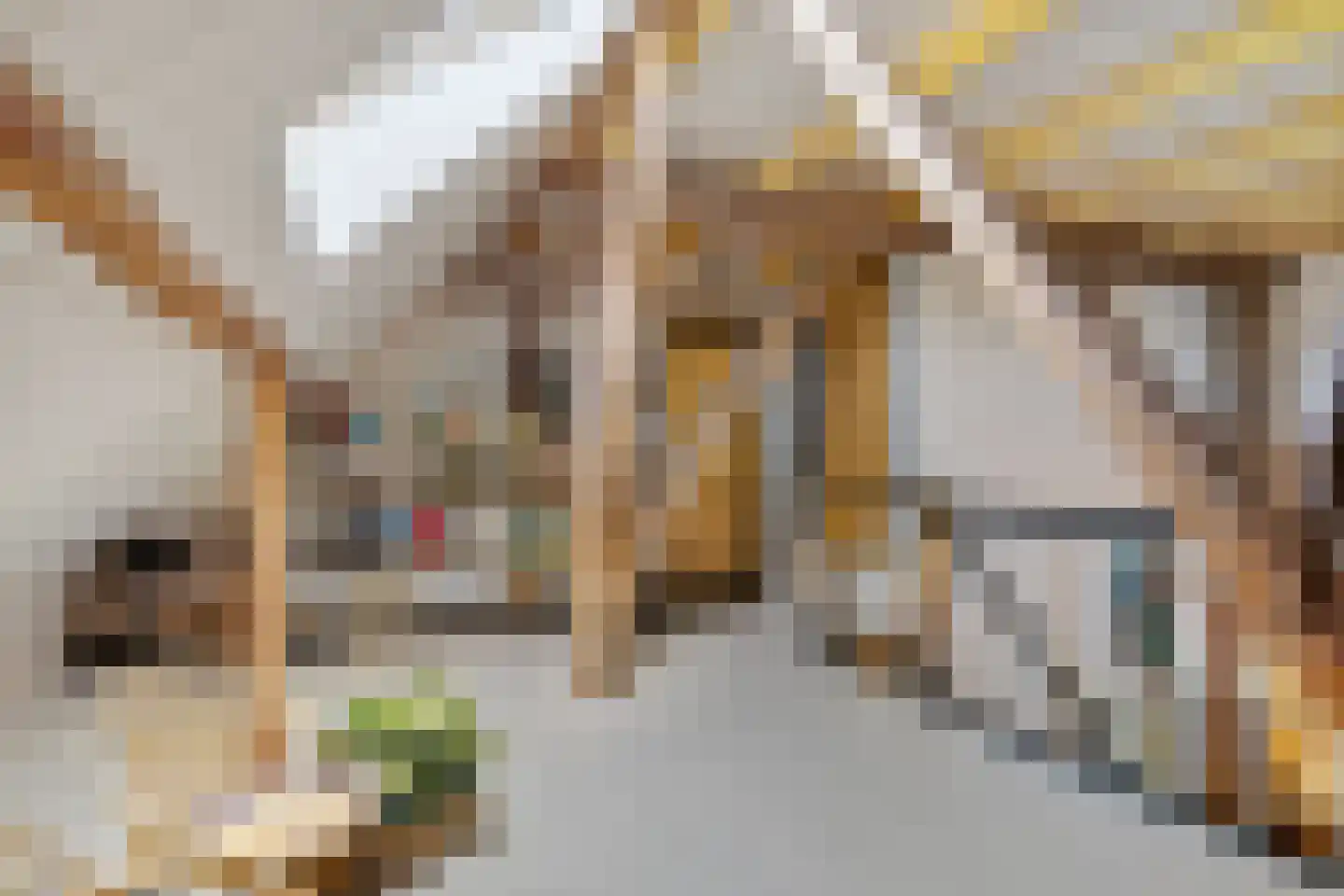 Zwienhemsdijk 4 a Eexterzandvoort thumbnail 35