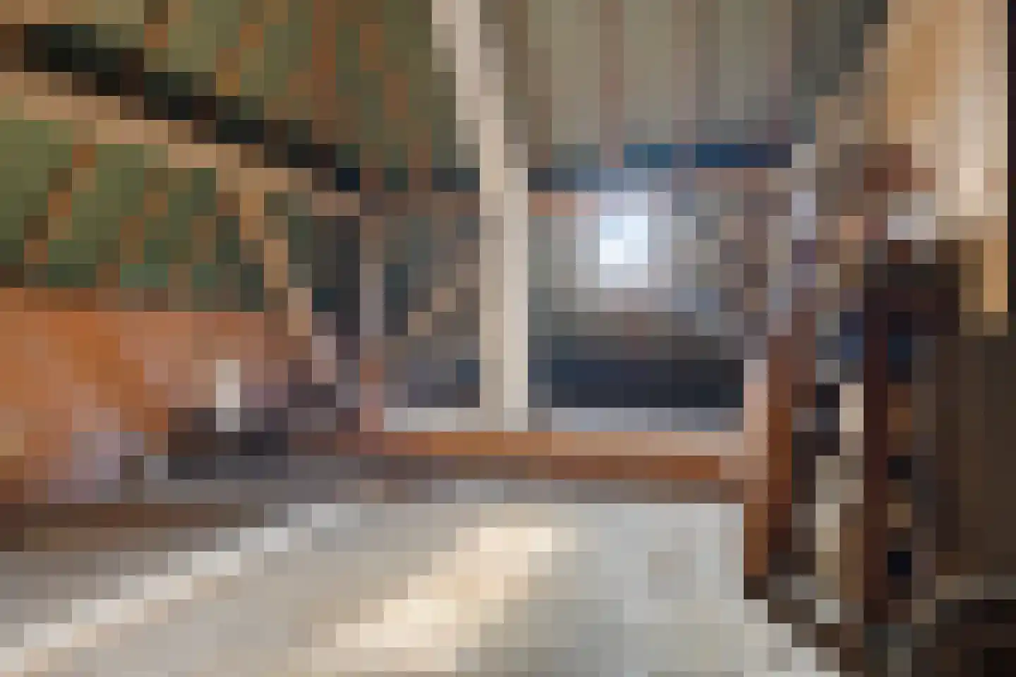 Zwienhemsdijk 4 a Eexterzandvoort thumbnail 40