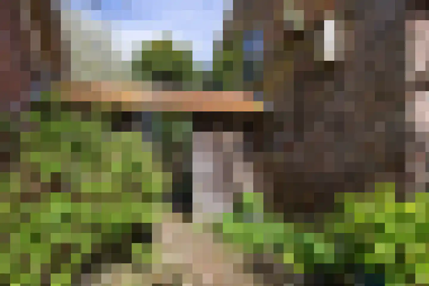 Zwienhemsdijk 4 a Eexterzandvoort thumbnail 42