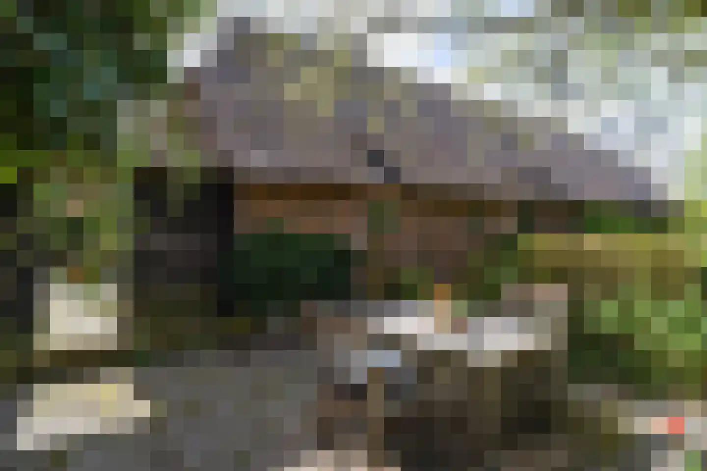 Zwienhemsdijk 4 a Eexterzandvoort thumbnail 43