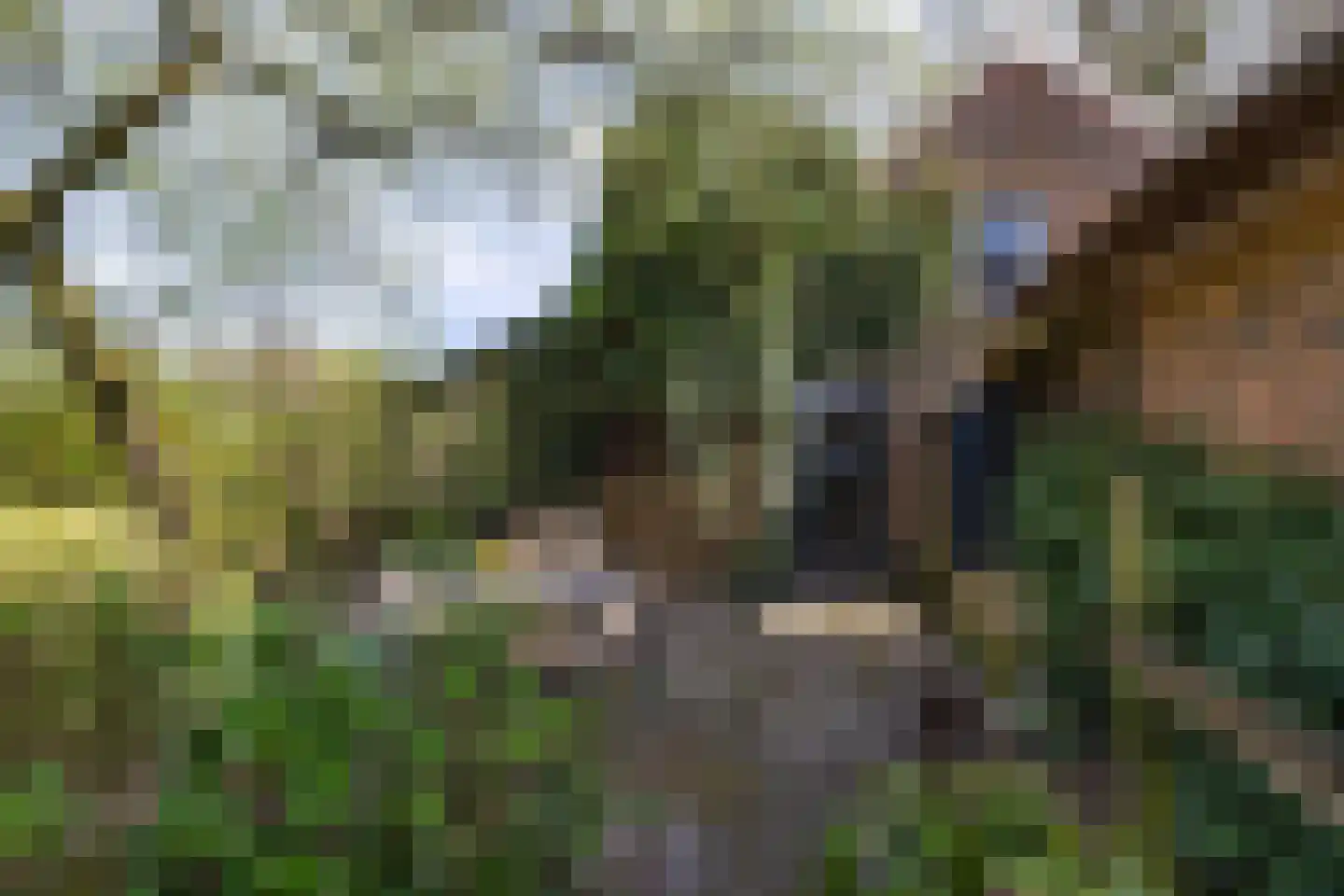 Zwienhemsdijk 4 a Eexterzandvoort thumbnail 44